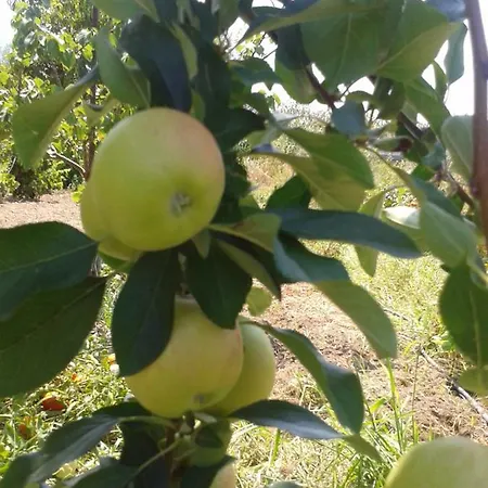 Lägenhet Filippone Reggio di Calabria